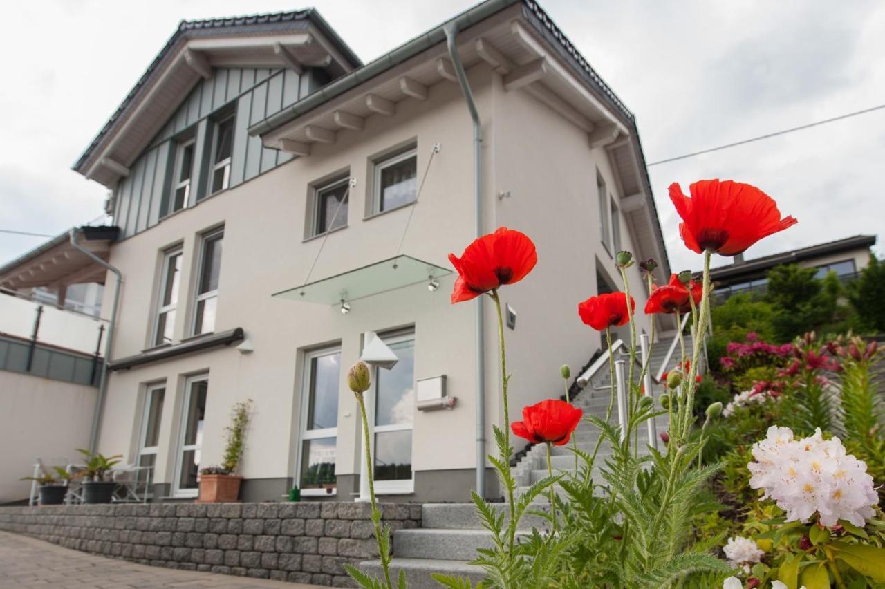 Wohnung Mit Talblick, Ladestation E-Auto Ζίγκεν Εξωτερικό φωτογραφία